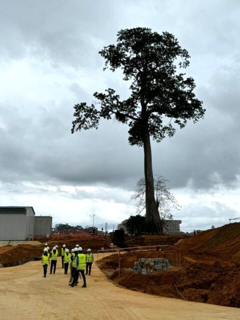 technical assistance